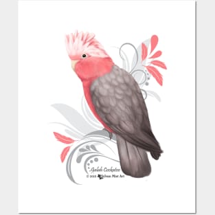 Galah Cockatoo Posters and Art